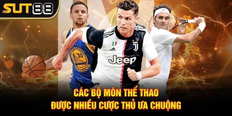Các bộ môn thể thao được nhiều cược thủ ưa chuộng