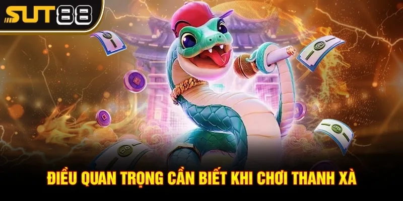 Thanh Xà Bạch Xà - Trải nghiệm với cơ hội thắng slot lớn 3 Điều quan trọng cần biết khi chơi Thanh Xà