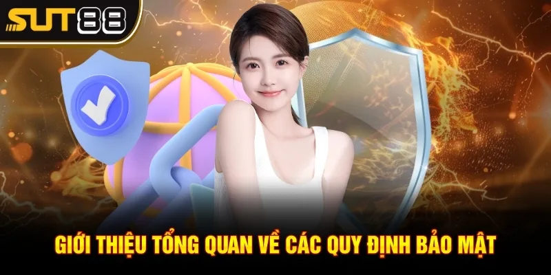 Giới thiệu tổng quan về các quy định bảo mật