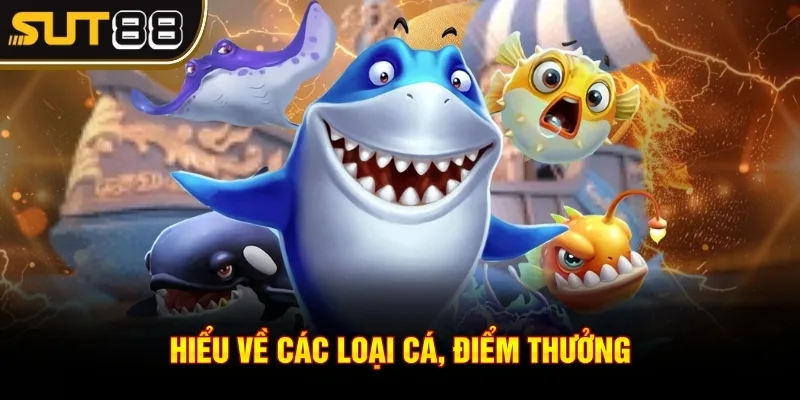 Bắn cá tỷ phú Sut88 - Trải nghiệm săn cá cực hấp dẫn 3 Hiểu về các loại cá, điểm thưởng