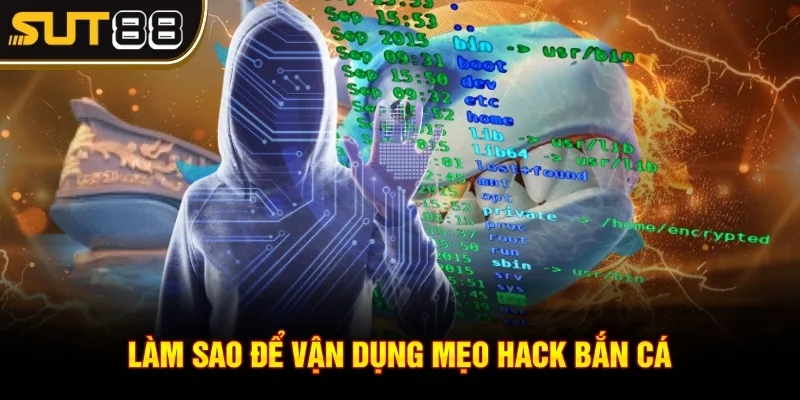 Mẹo hack bắn cá siêu thị và cách áp dụng hiệu quả nhất 4 Làm sao để vận dụng mẹo hack bắn cá