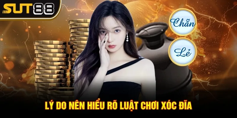 Chơi xóc đĩa - Bí quyết chiến thắng mọi ván chơi tại Sut88 3 Lý do nên hiểu rõ luật chơi Xóc Đĩa