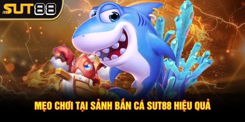 Bắn Cá Sut88 Có Gì Hot? Trải Nghiệm Là Mê Ngay Tức Khắc 3 Mẹo chơi tại sảnh Bắn cá Sut88 hiệu quả