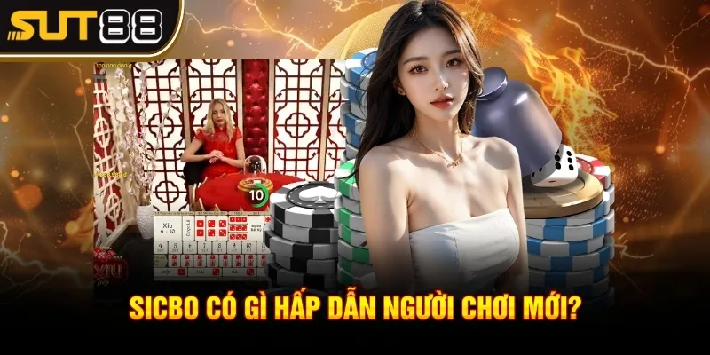 Sicbo là gì? Thông tin và mẹo chơi bất bại từ chuyên gia 2 Sicbo có gì hấp dẫn người chơi mới?