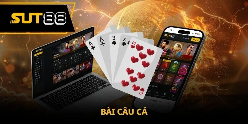 Bài câu cá là gì? Hướng dẫn cách chơi và tính điểm game bài